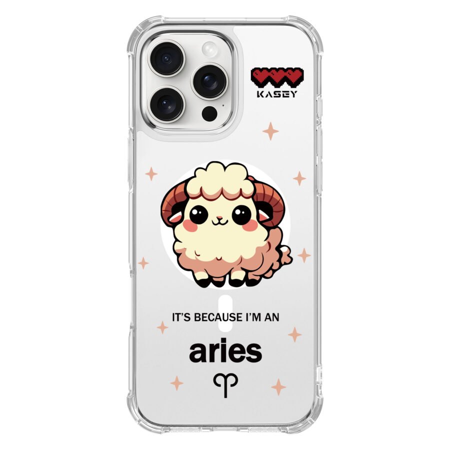 Aries Magsafe